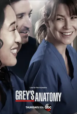 实习医生格蕾 第十季/Grey's Anatomy Season 10