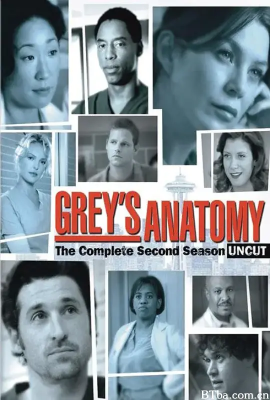 实习医生格蕾  第二季 Grey's Anatomy Season 2 (2005) 1080P/720P BT磁力 迅雷网盘下载