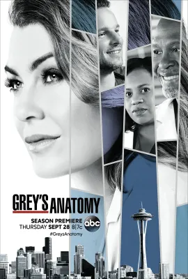 实习医生格蕾 第十四季/Grey's Anatomy Season 14