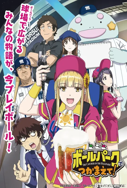 阳光马达棒球场！/ボールパークでつかまえて！