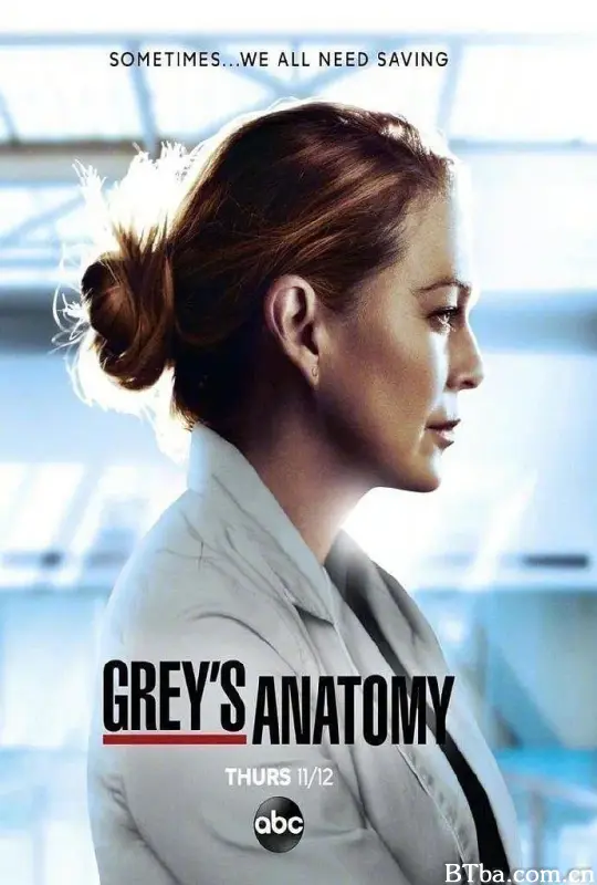 实习医生格蕾 第十七季/Grey's Anatomy Season 17