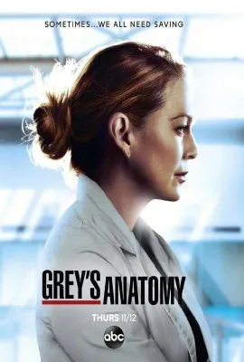实习医生格蕾 第十七季/Grey's Anatomy Season 17