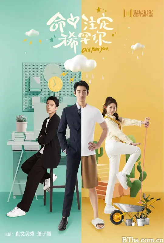 命中注定稀罕你 (2025) 1080P/4K BT磁力 迅雷网盘下载