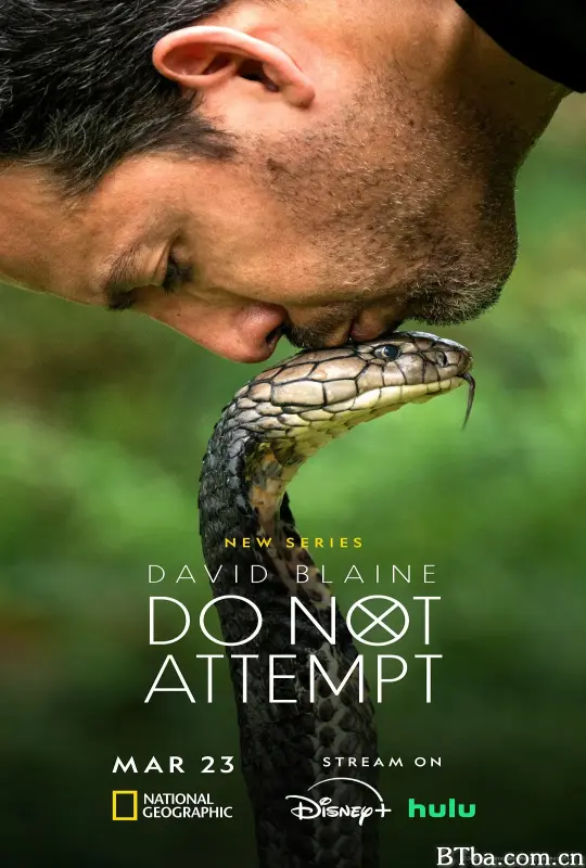 大卫·布雷恩：请勿尝试/David Blaine: Do Not Attempt