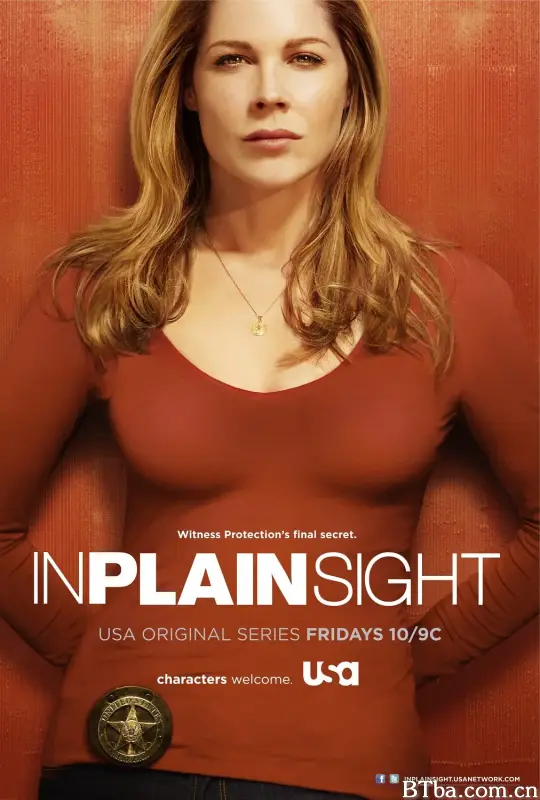 平地风云 第五季/In Plain Sight Season 5