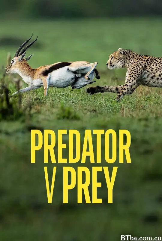 自然法则：掠食者之战 第一季/Predator v Prey Season 1
