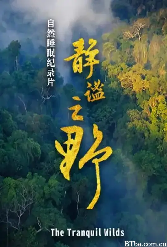静谧之野 (2025) 1080P/WEB-DL BT磁力 迅雷网盘下载