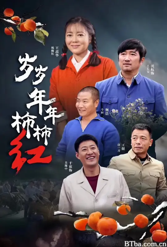 岁岁年年柿柿红