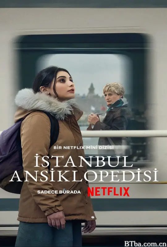 伊斯坦布尔百科全书/Istanbul Ansiklopedisi
