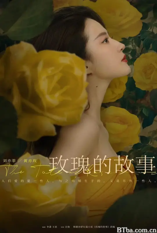 玫瑰的故事