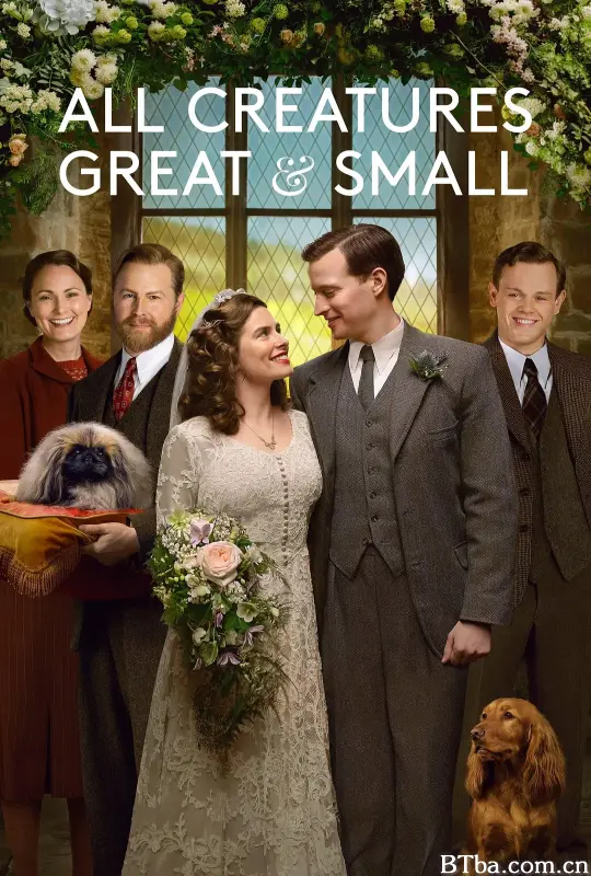 万物生灵 第三季/All Creatures Great and Small Season 3