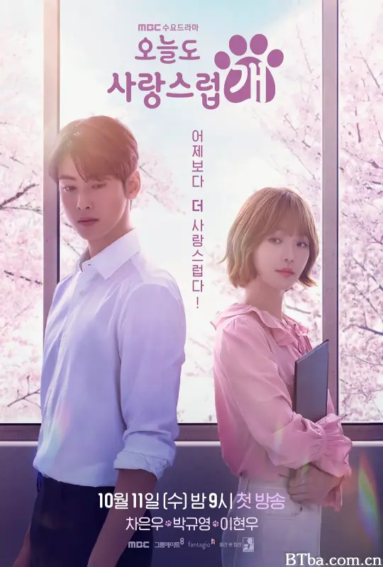 今天也很可爱的狗/오늘도 사랑스럽개