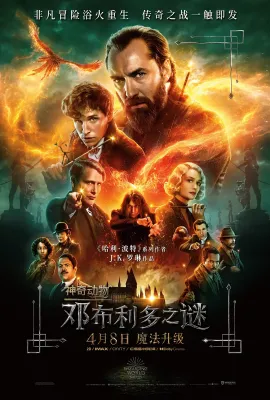 神奇动物：邓布利多之谜/Fantastic Beasts: The Secrets of Dumbledore