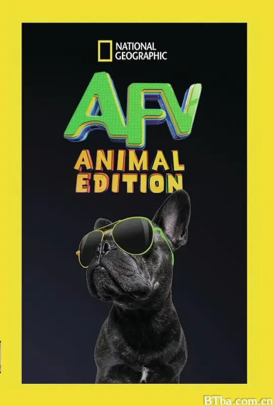 笑笑小电影：动物篇 第一季/America's Funniest Videos: Animal Edition Season 1