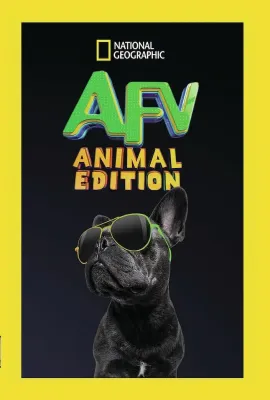 笑笑小电影：动物篇 第一季/America's Funniest Videos: Animal Edition Season 1