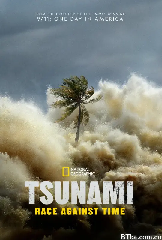 海啸：与时间赛跑/Tsunami: Race Against Time