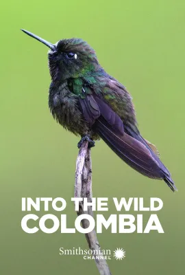 走进野外：哥伦比亚/Into the Wild: Colombia