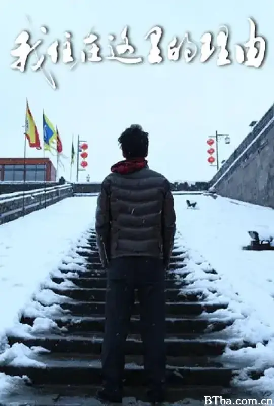 我住在这里的理由 第三季