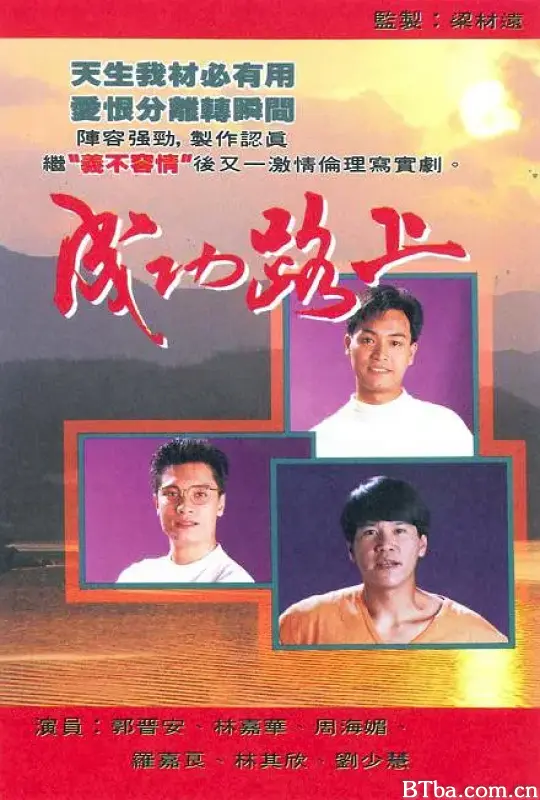 成功路上 (1990) 1080P/WEB-DL BT磁力 迅雷网盘下载