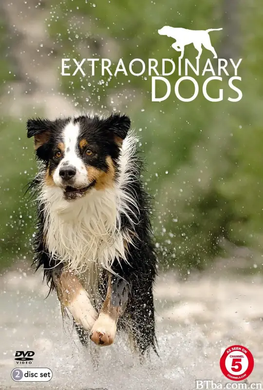 非凡的狗儿 第一季/Extraordinary Dogs Season 1