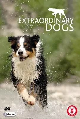 非凡的狗儿 第一季/Extraordinary Dogs Season 1
