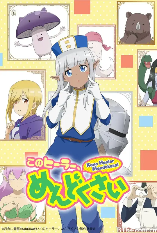 这个医师超麻烦/このヒーラー、めんどくさい