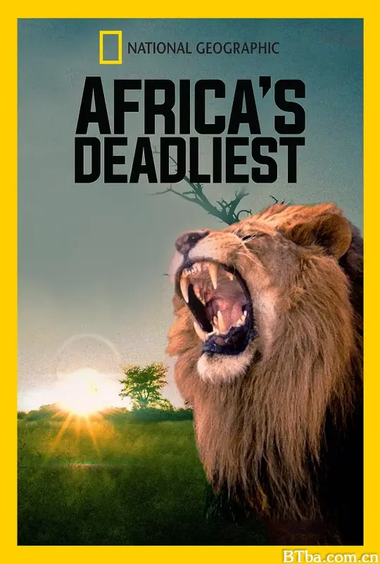 非洲致命动物/Africa's Deadliest