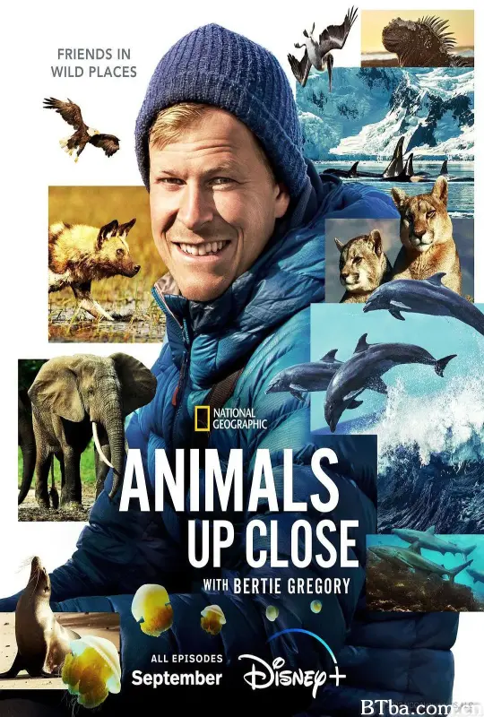 贝尔蒂·格雷戈里：与动物零距离/Animals Up Close with Bertie Gregory