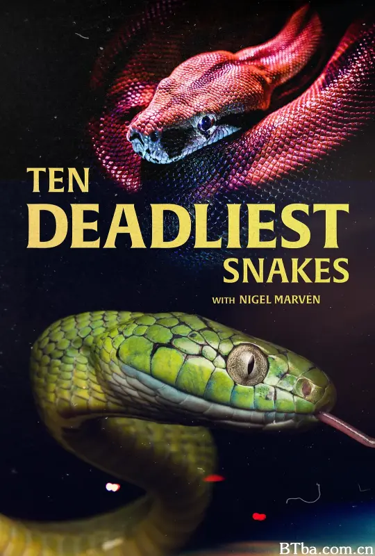 十大毒蛇 第三季/Ten Deadliest Snakes with Nigel Marven Season 3