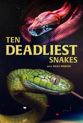 十大毒蛇 第三季/Ten Deadliest Snakes with Nigel Marven Season 3