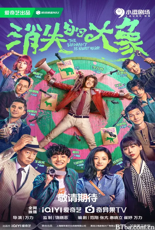 消失的大象