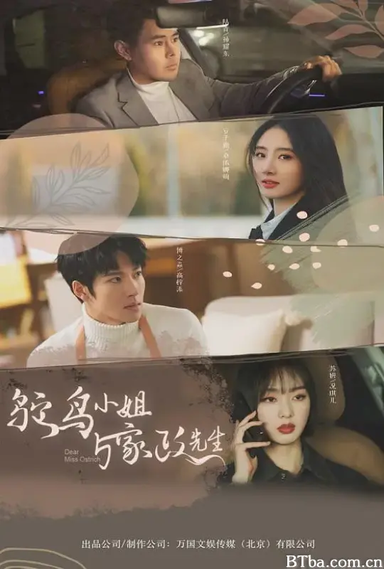 鸵鸟小姐与家政先生 (2024) 1080P/WEB-DL BT磁力 迅雷网盘下载