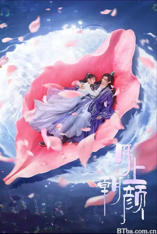 月上朝颜