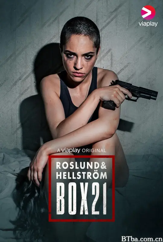Roslund Hellström: Box 21