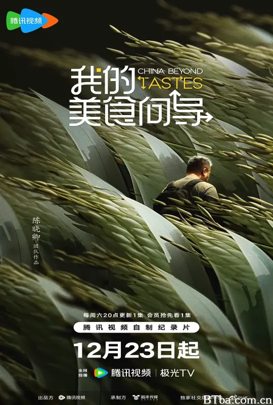 我的美食向导