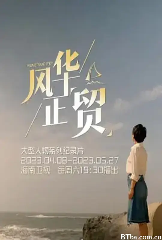 风华正贸/风华正“贸”