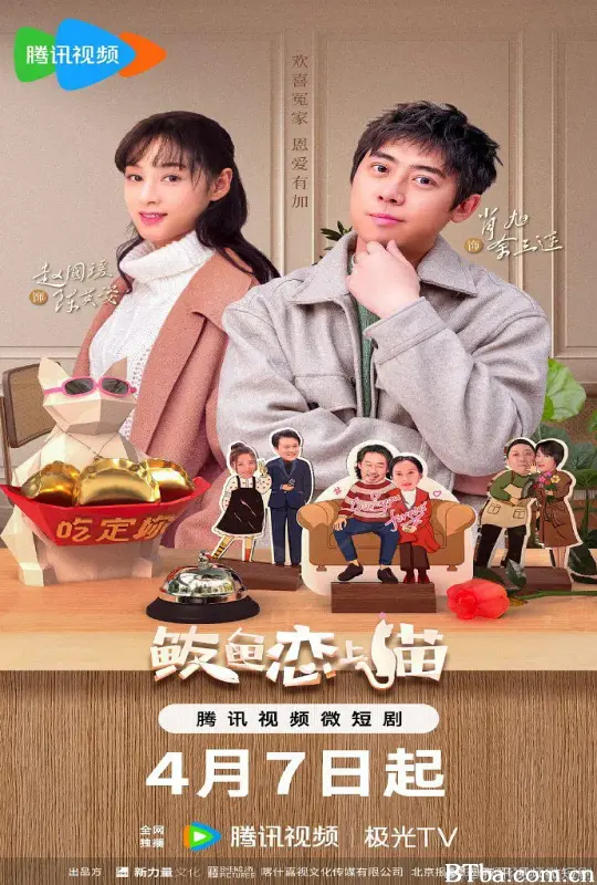鲅鱼恋上猫