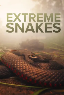 疯狂的蛇/Extreme Snakes