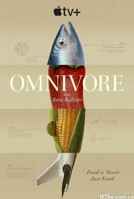 杂食动物/Omnivore