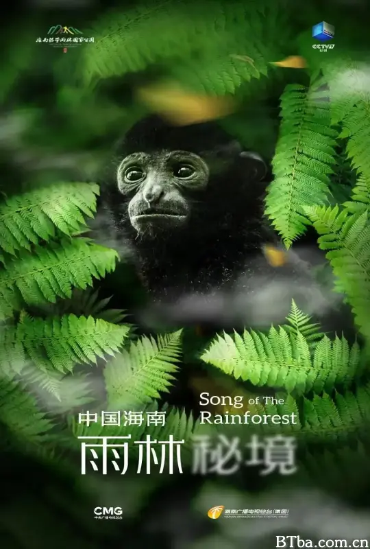 中国海南·雨林秘境