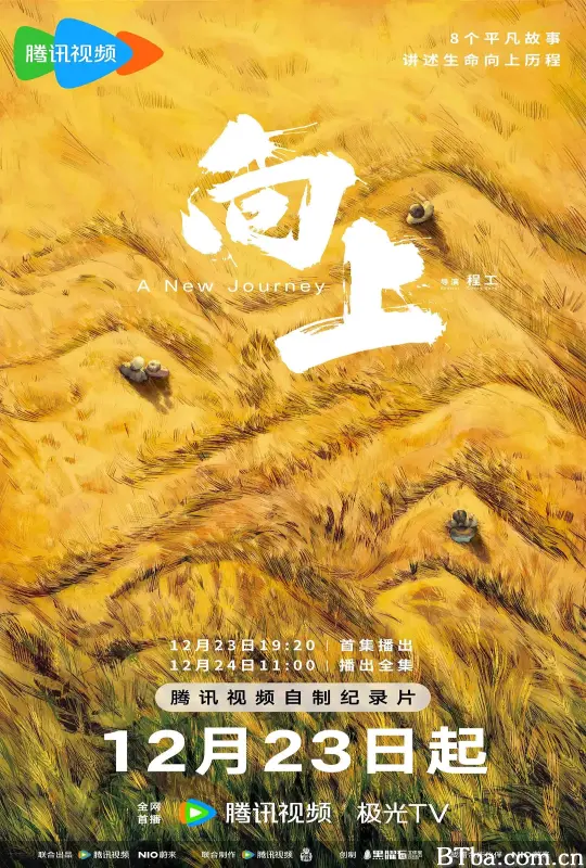 向上