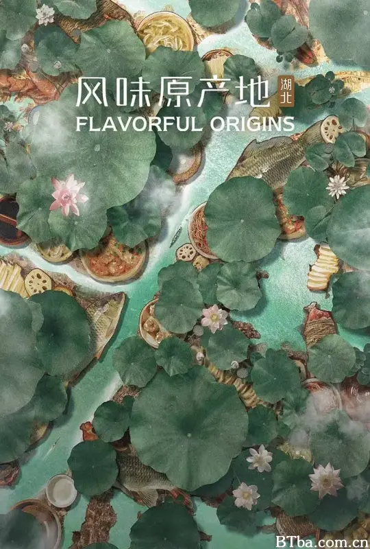 风味原产地·湖北 (2023) 1080P/4K BT磁力 迅雷网盘下载-影音屋