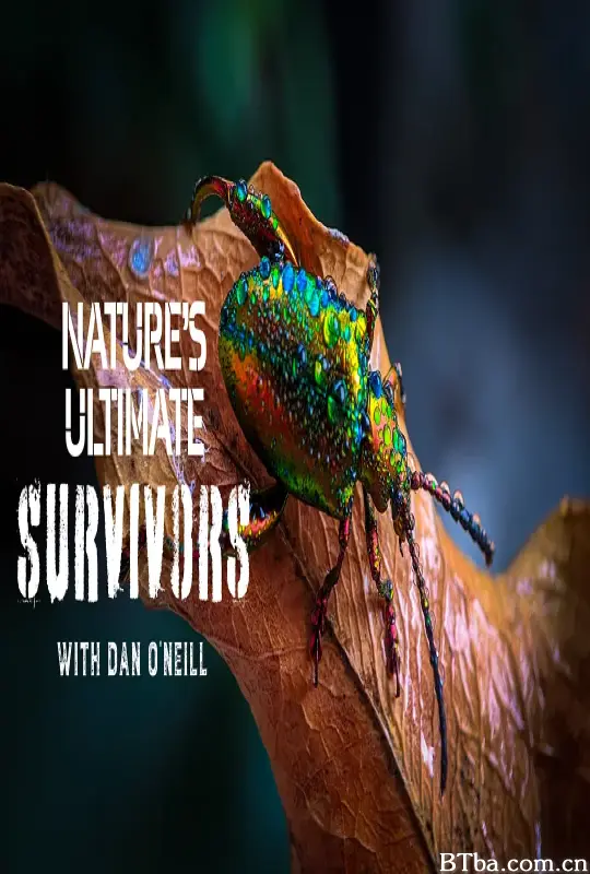 动物封神榜 第一季/Nature's Ultimate Survivors Season 1