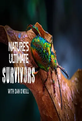 动物封神榜 第一季/Nature's Ultimate Survivors Season 1