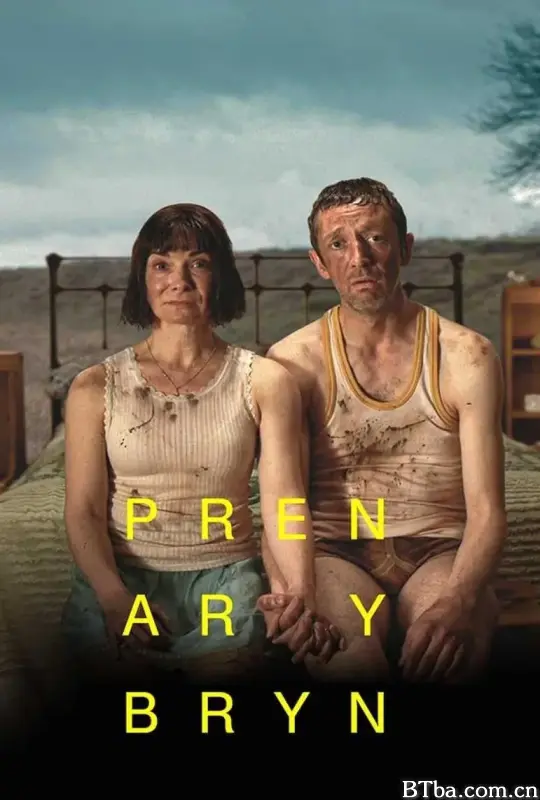 山丘上的树/Pren ar y Bryn
