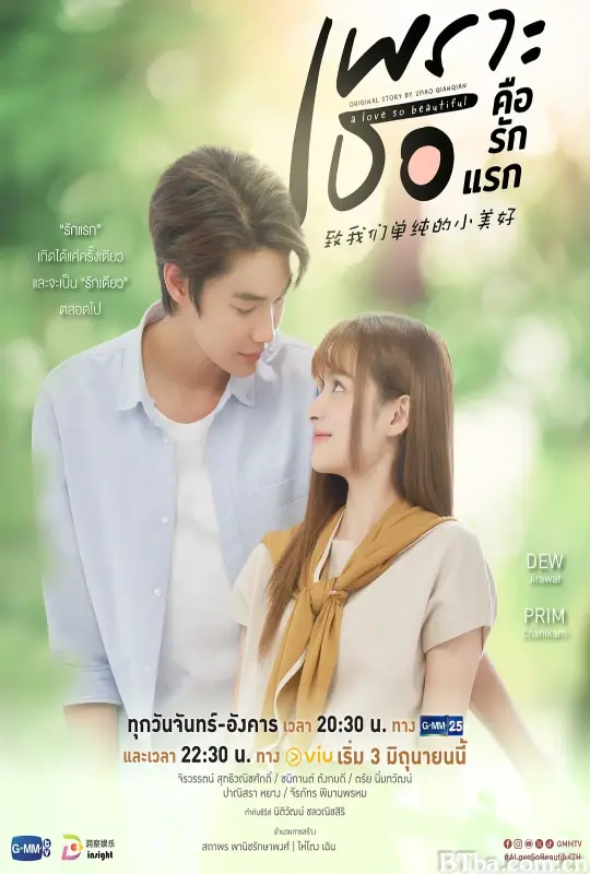致我们单纯的小美好/(泰版) เพราะเธอคือรักแรก