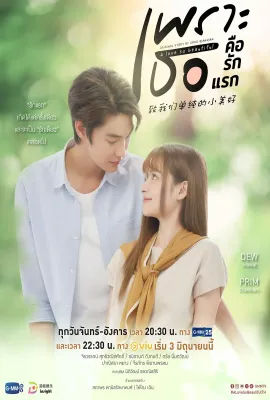 致我们单纯的小美好/(泰版) เพราะเธอคือรักแรก