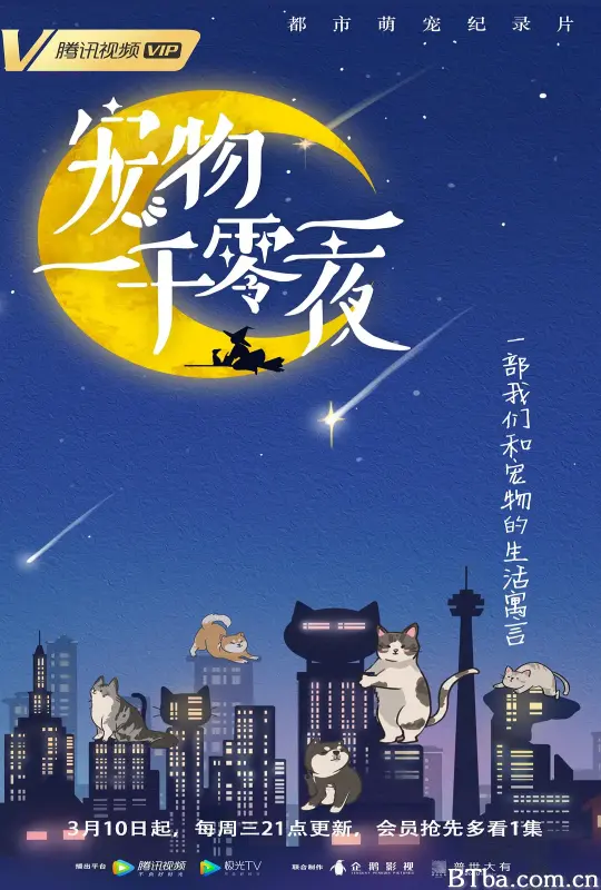 宠物一千零一夜