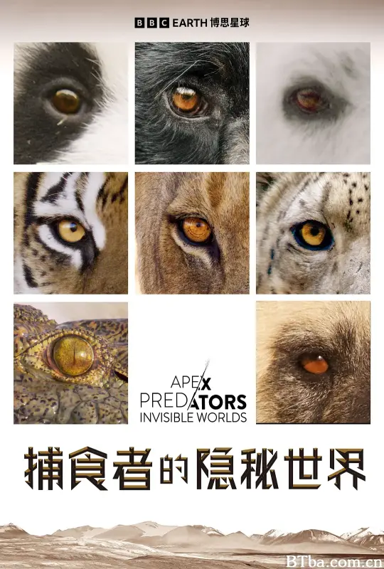 捕食者的隐秘世界/Apex Predators: Invisible Worlds