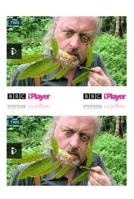比尔·贝利的丛林英雄/Bill Bailey's Jungle Hero